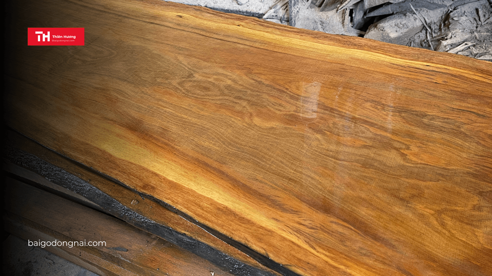 Gỗ Nhập Khẩu Là Gì? Các Loại Gỗ Nhập Khẩu Phổ Biến & Ưu Điểm